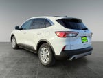 2022 Ford Escape Hybrid SE