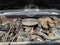 1982 Chevrolet Pickup Base